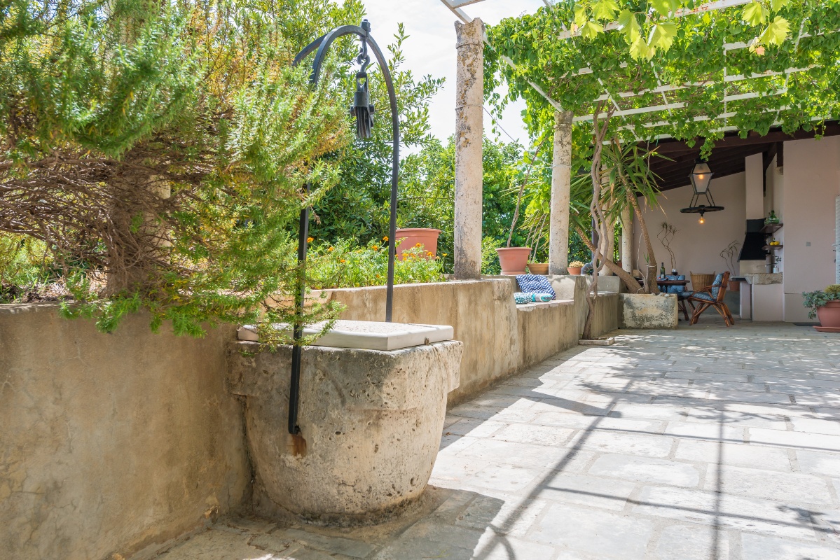 Midsummer Night's Dream