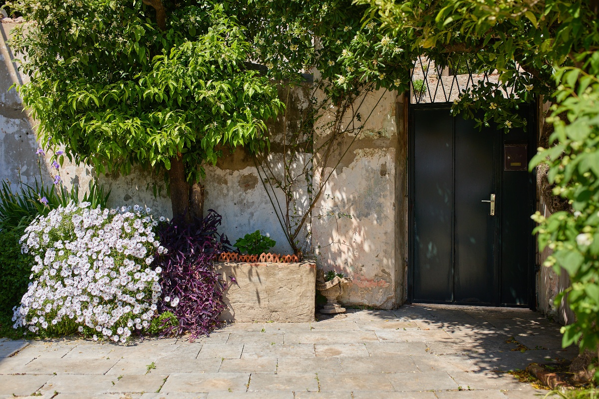 Hedera A10 - Dubrovnik apartment for rent