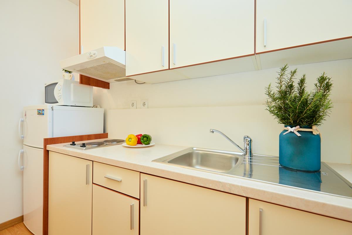 Apartments Zelic Tucepi Blue Apartment 1321, Tučepi, Makarska Riviera, Split region